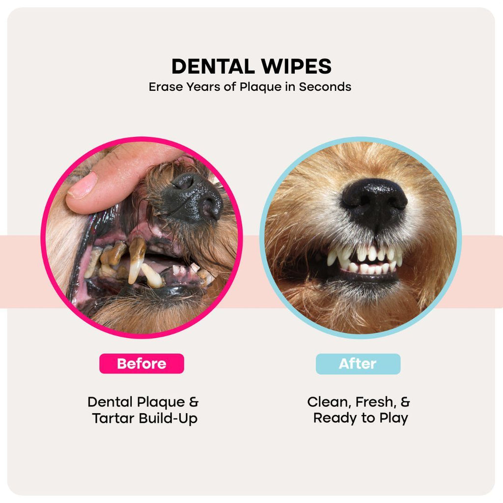 Uproot PureCare™ Kit