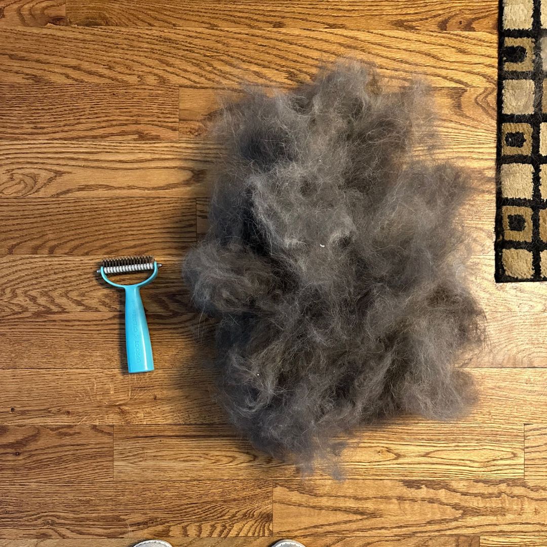 Uproot Cat and Dog Brush