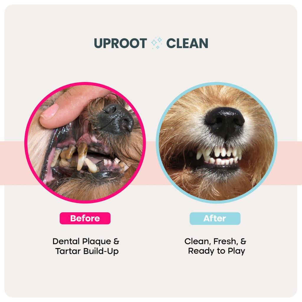 Uproot Head-to-Tail Wipe Set