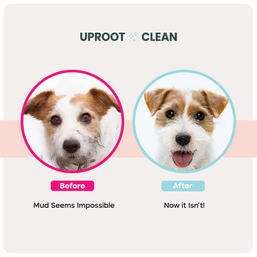 Uproot Pet Care Bundle