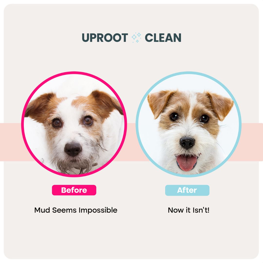 Uproot Pet Care Bundle