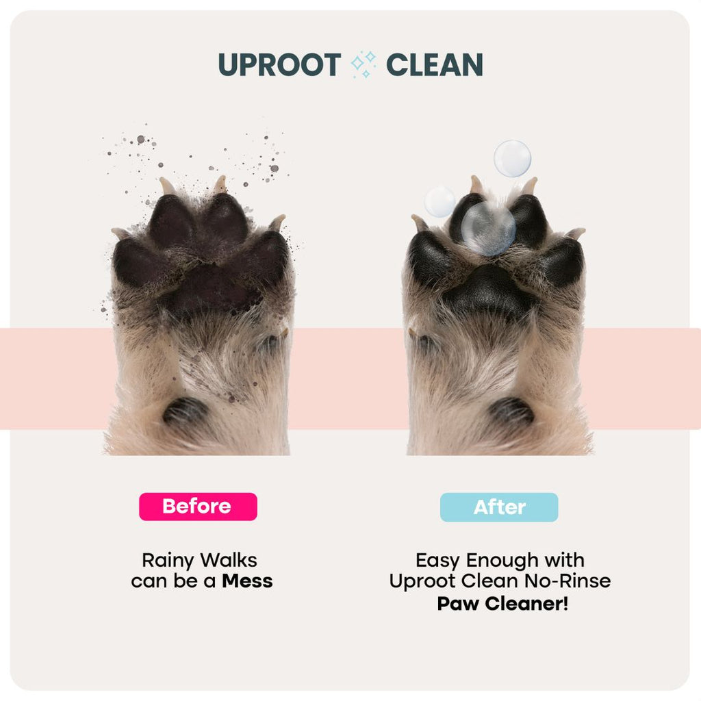 Uproot Paw Cleaner - Rinse-Free Foam Cleanser