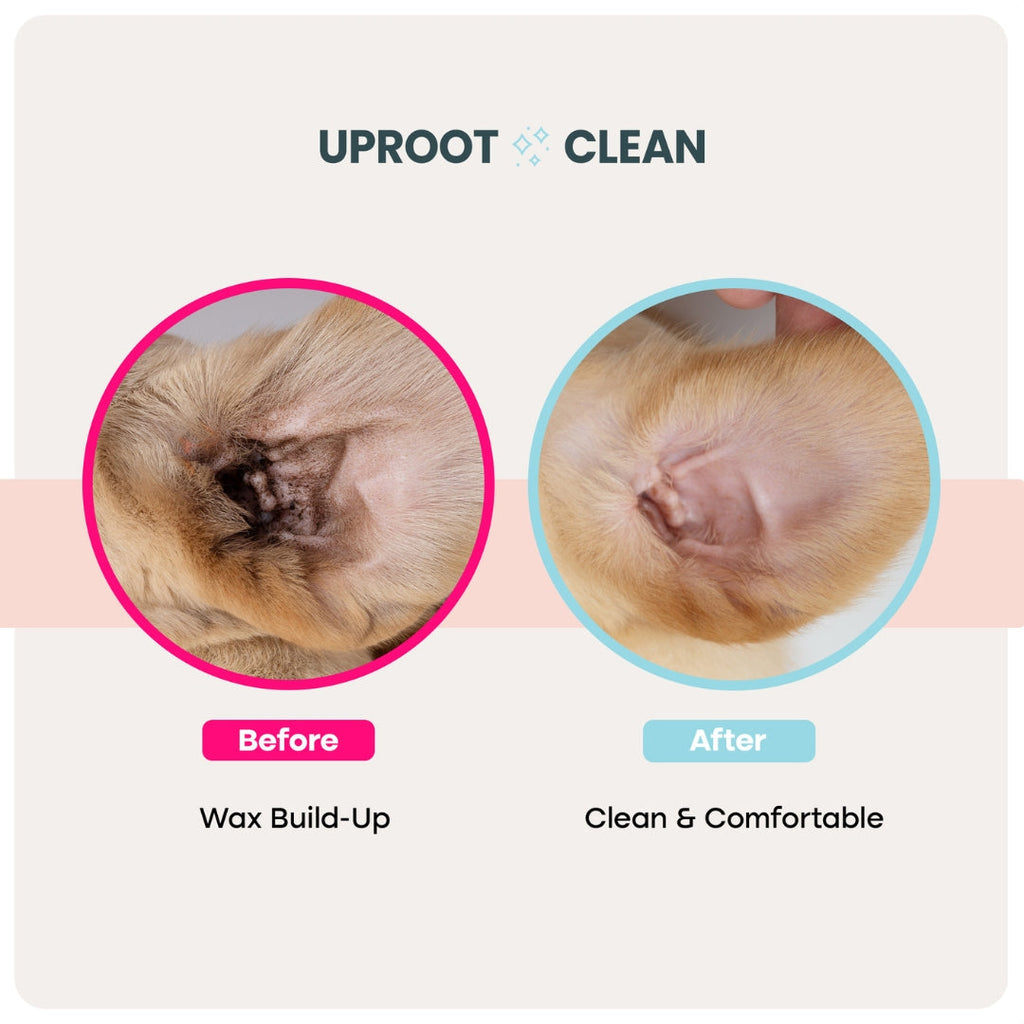 Uproot™ Ear Wipes