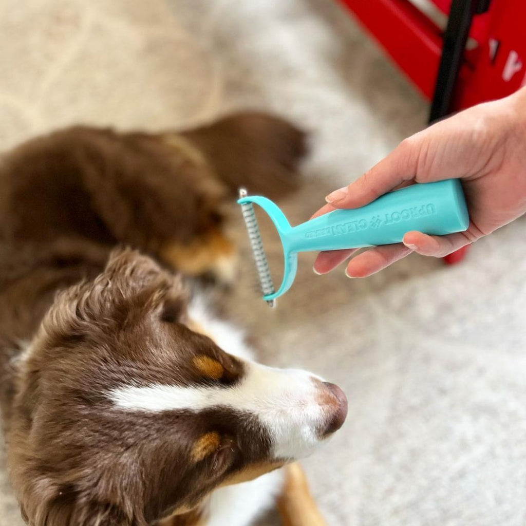 Uproot Cat and Dog Brush